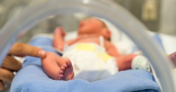 premature baby in an incubator