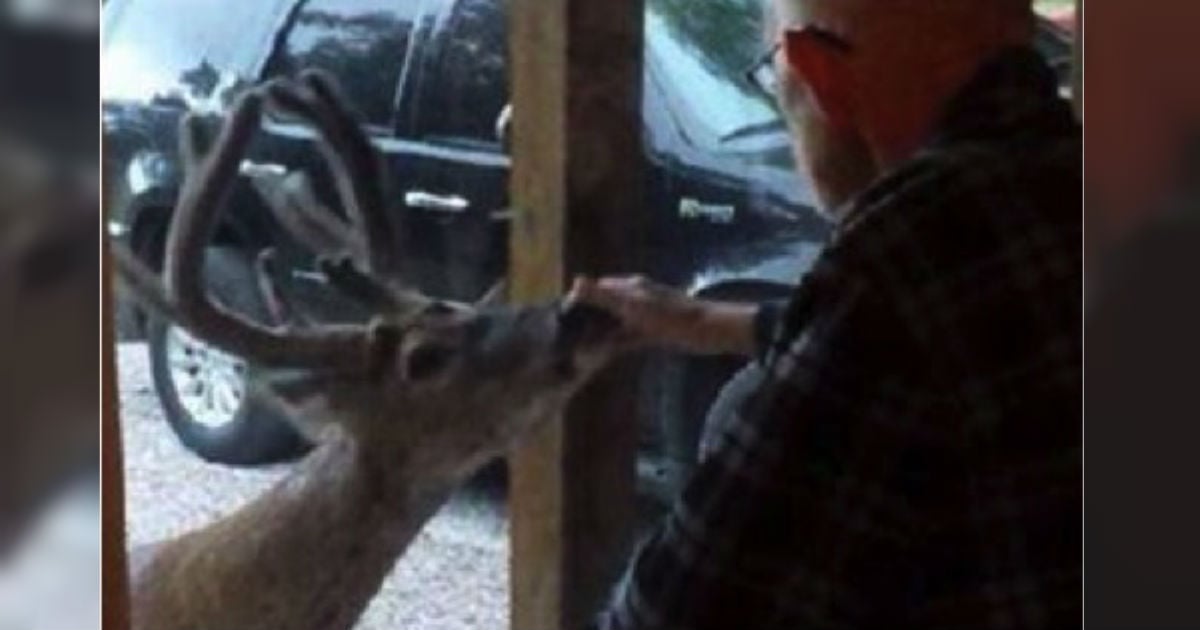 mj-godupdates-deer-visits-dying-dad-fb