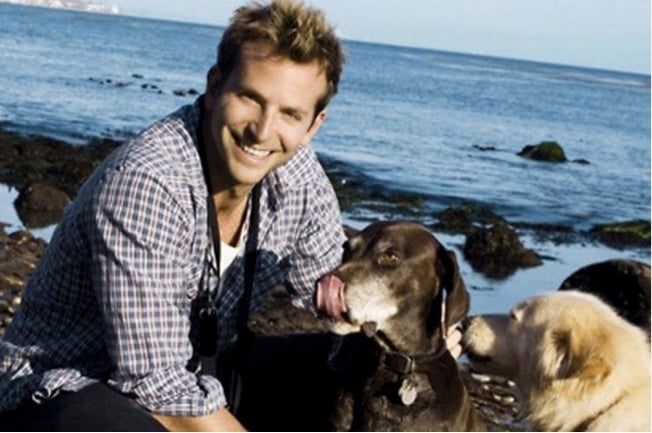godupdates 11 celebs with rescue dogs 4