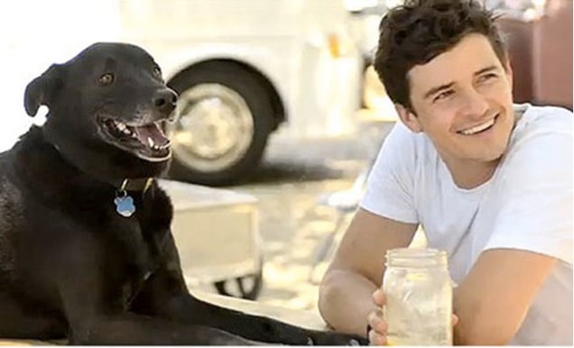 godupdates 11 celebs with rescue dogs 9