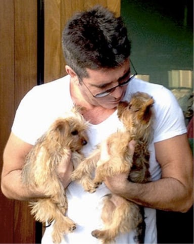 godupdates 11 celebs with rescue dogs 3