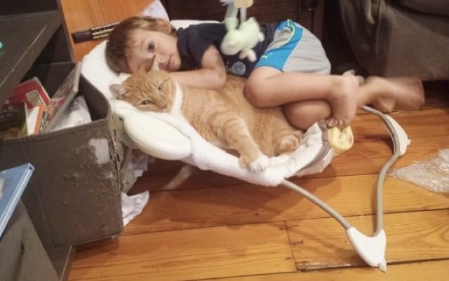 This Little Boy And His Cat Best Friend Are Too Cute For Words