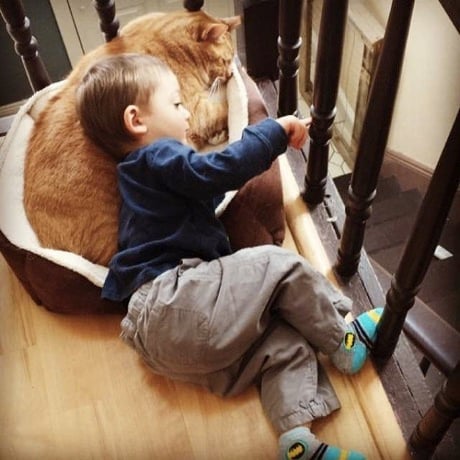 This Little Boy And His Cat Best Friend Are Too Cute For Words