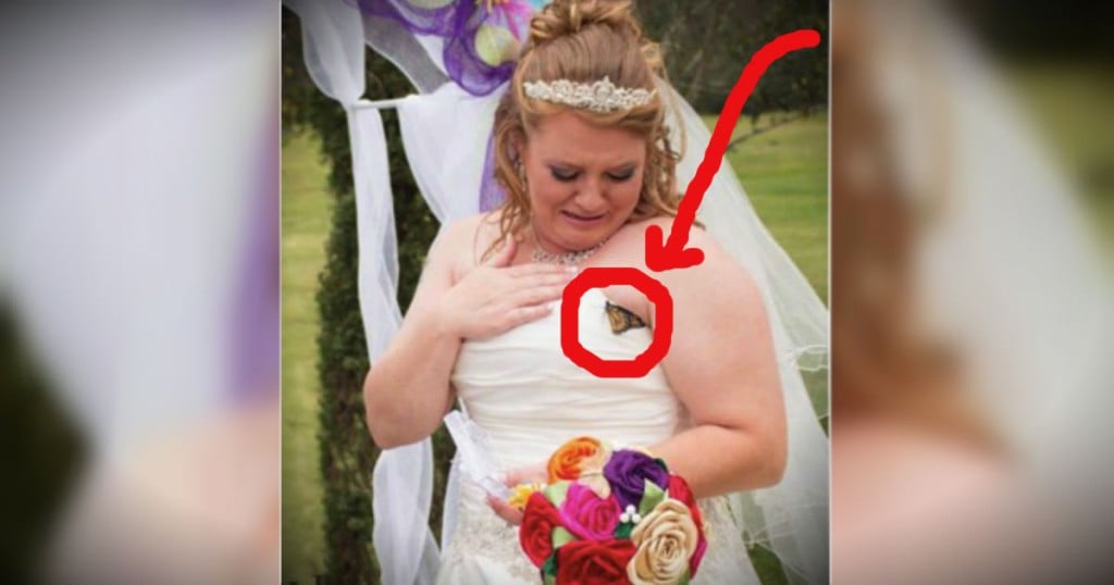 Bride Gets A Very Special Sign From Heaven On Her Wedding Day _ godupdates