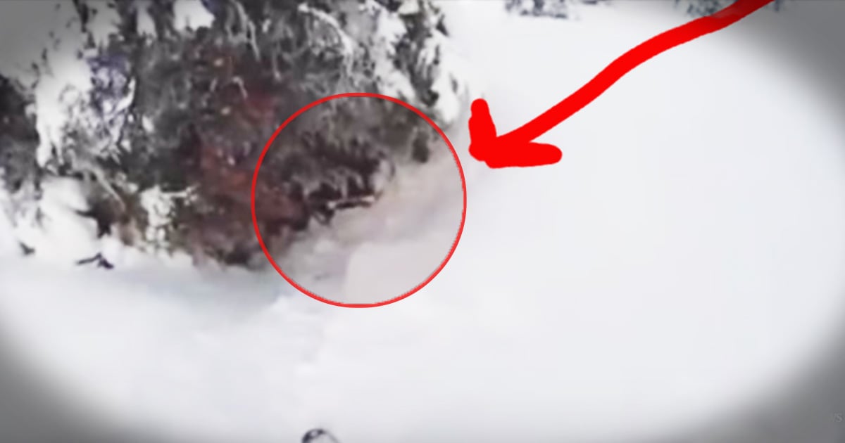 Father Saves Son Who Fell into a Tree Well While Skiing