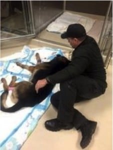 godupdates little girl donates allowance in honor of slain police dog 2