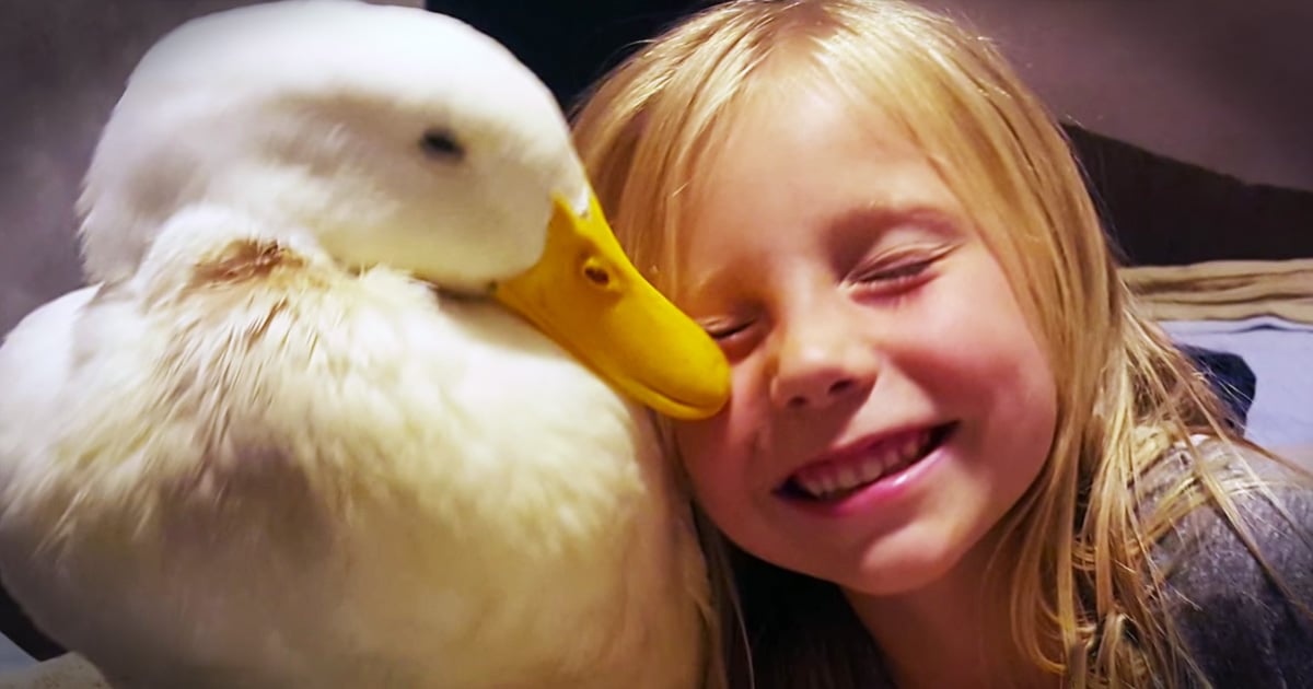 Little Girl and Her Duck Share a Beautiful Bond