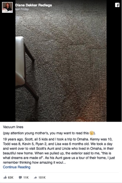godupdates vacuum lines makes this mom miss her kids 1