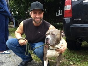 godupdates abandoned pit bulls left in vacant house by evicted owners 2