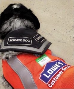 godupdates lowes give man and service dog a job 1