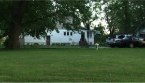 godupdates 9-year-old girl finds abandoned newborn in backyard 1