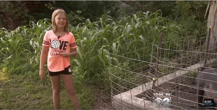 godupdates 9-year-old girl finds abandoned newborn in backyard 4