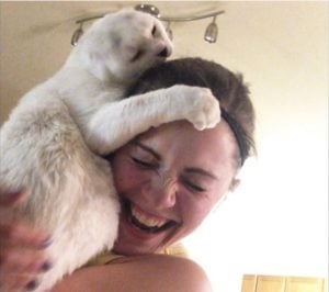 godupdates earless cat saves the woman who rescued him 2
