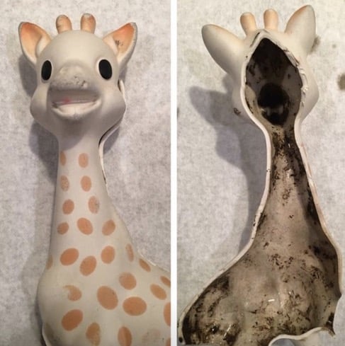 godupdates warning Mold Inside The Popular Baby Teether sophie the giraffe 1