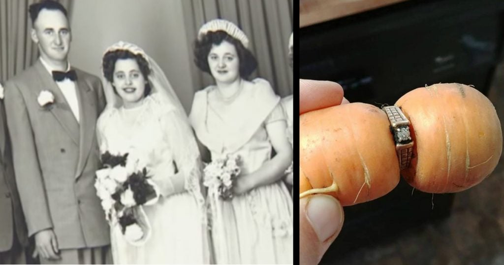 godupdates family finds carrot holding the engagement ring grandma lost 13 years ago fb