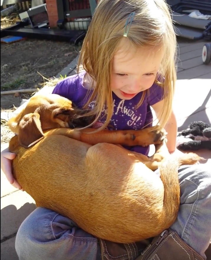 Girl Sings Lullaby To Her Rescue Dog