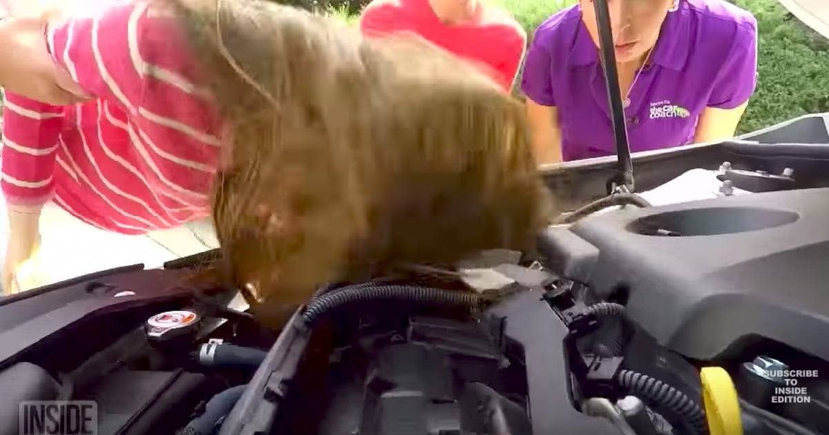 Woman Scalped While Working On Her Car