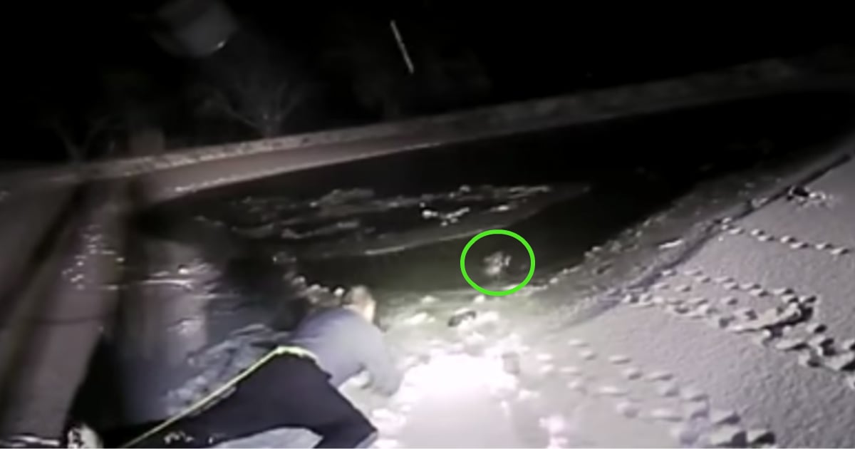 godupdates police officer rescues dog trapped in icy water fb