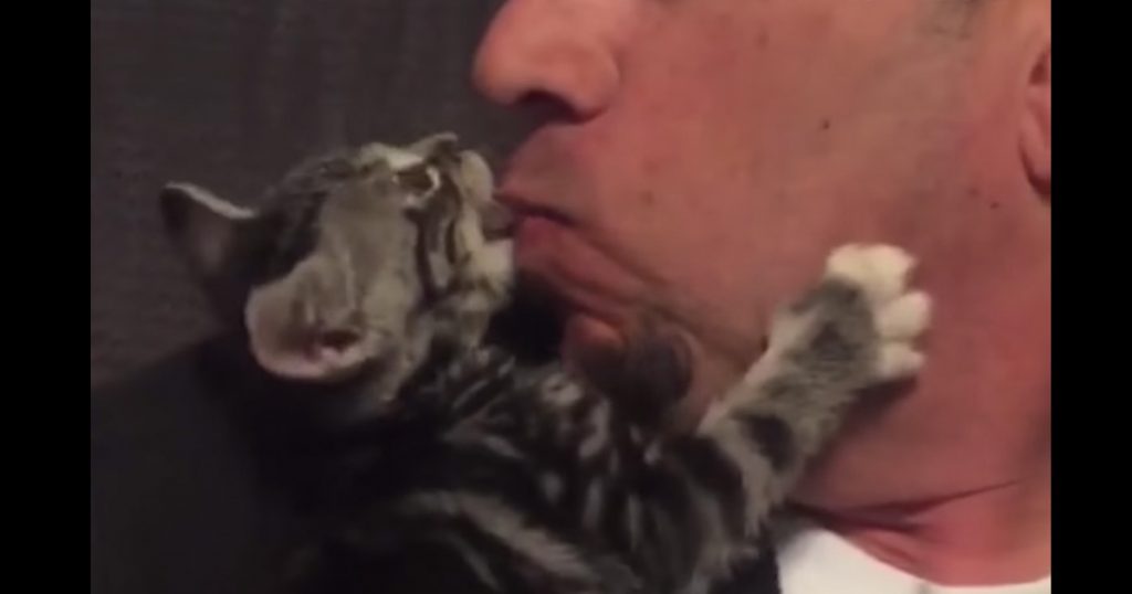 Dog Person Falls In Love With Tiny Foster Kitten