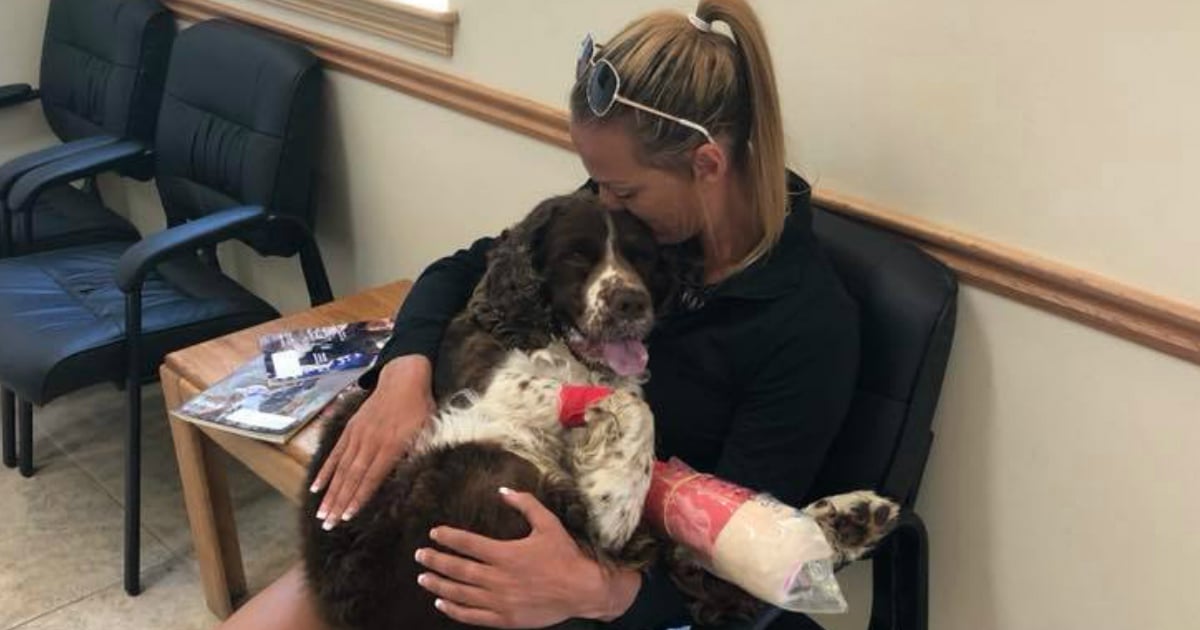 mom carried 55-pound injured dog down mountain fb