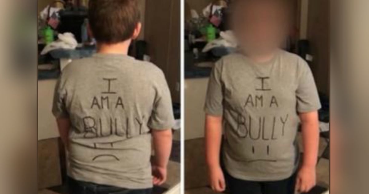 i am a bully shirt controversy fb