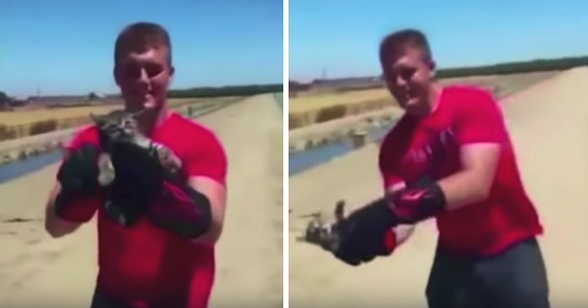 kitten thrown into a lake by teen