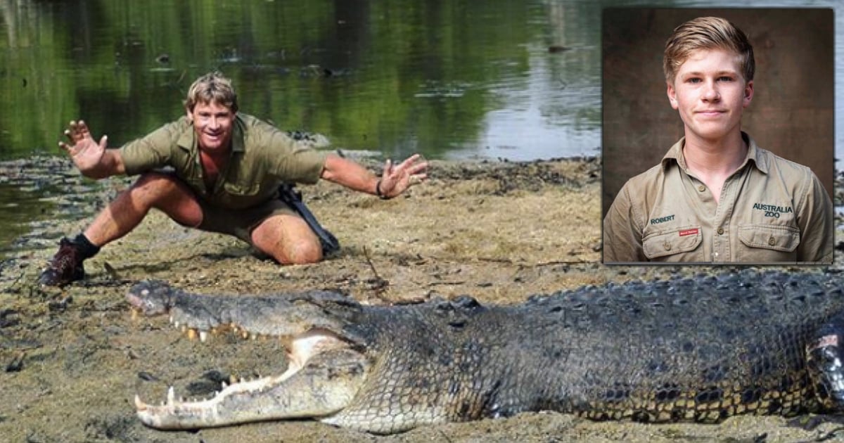 steve irwin's son robert irwin feeds same croc