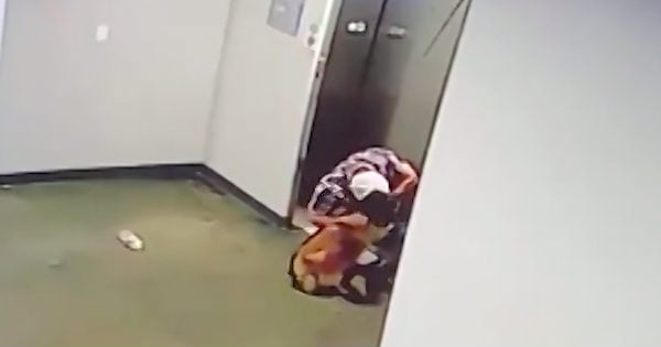 dog leash caught in elevator