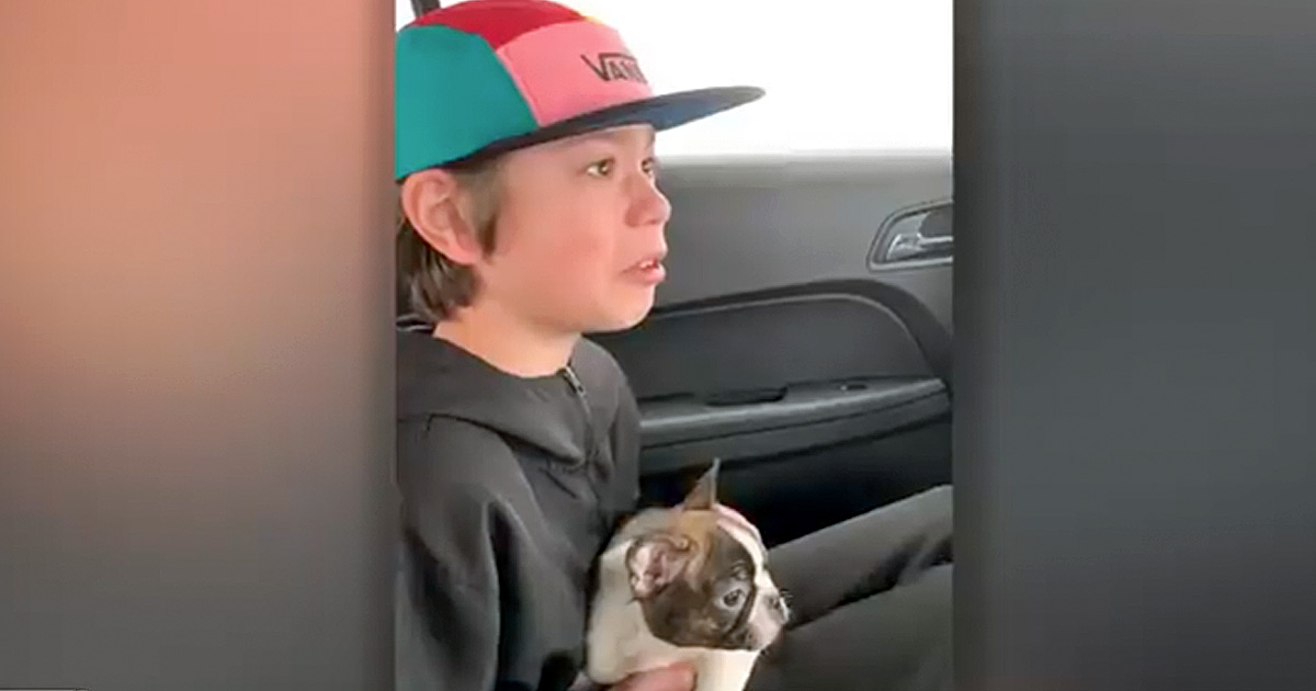 Surprise Puppy For Birthday Is Gift For 13 Year Old Boy From Late Father