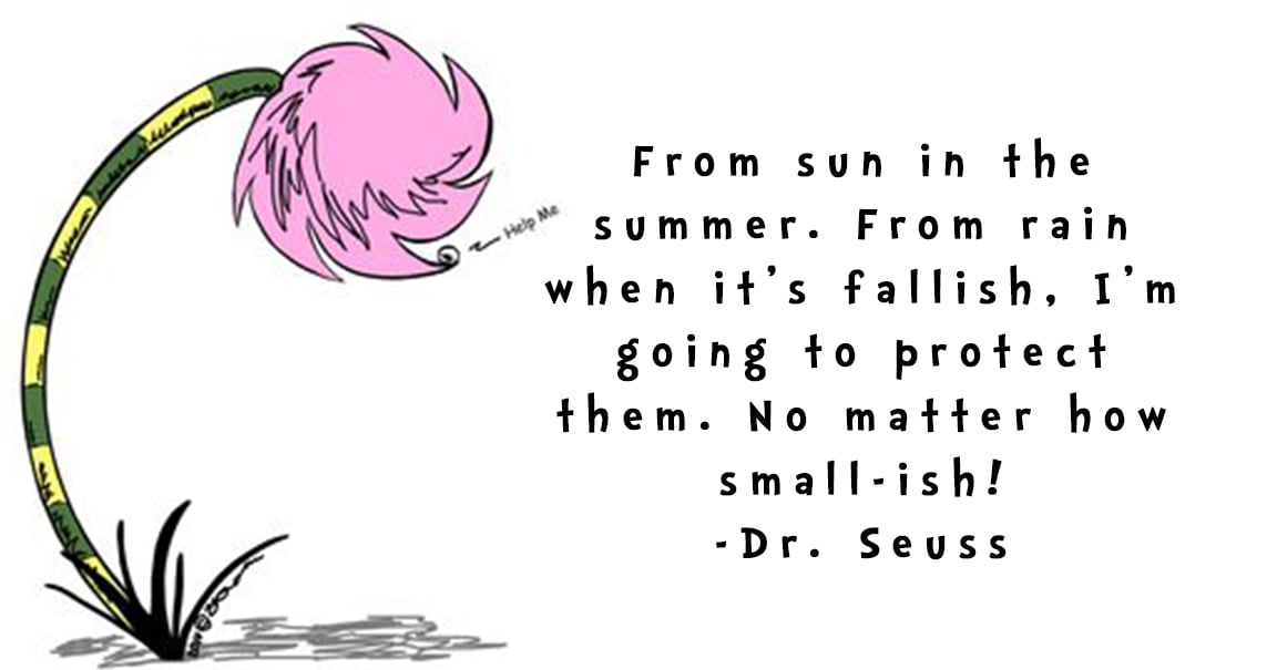 Important Dr. Seuss Message During Coronavirus Pandemic for Us All