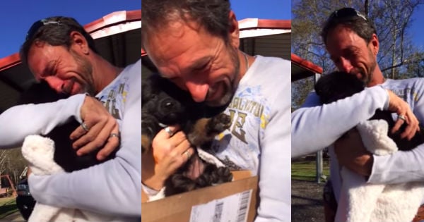 dad gets a new puppy