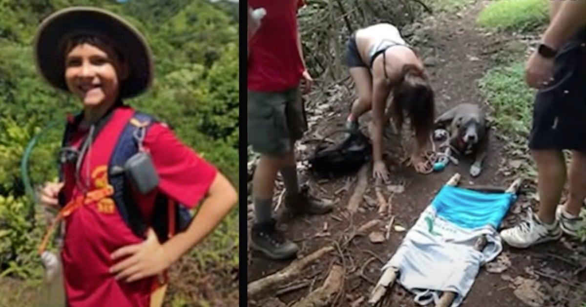 boy scout rescued couple and dog
