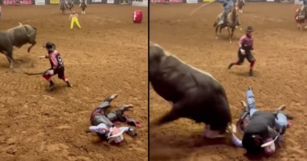 texas rodeo dad protects son