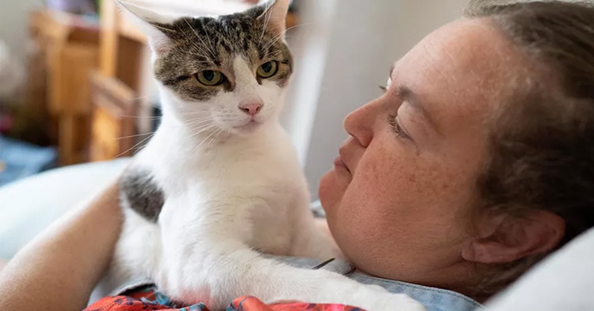 cat saved owner from heart attack