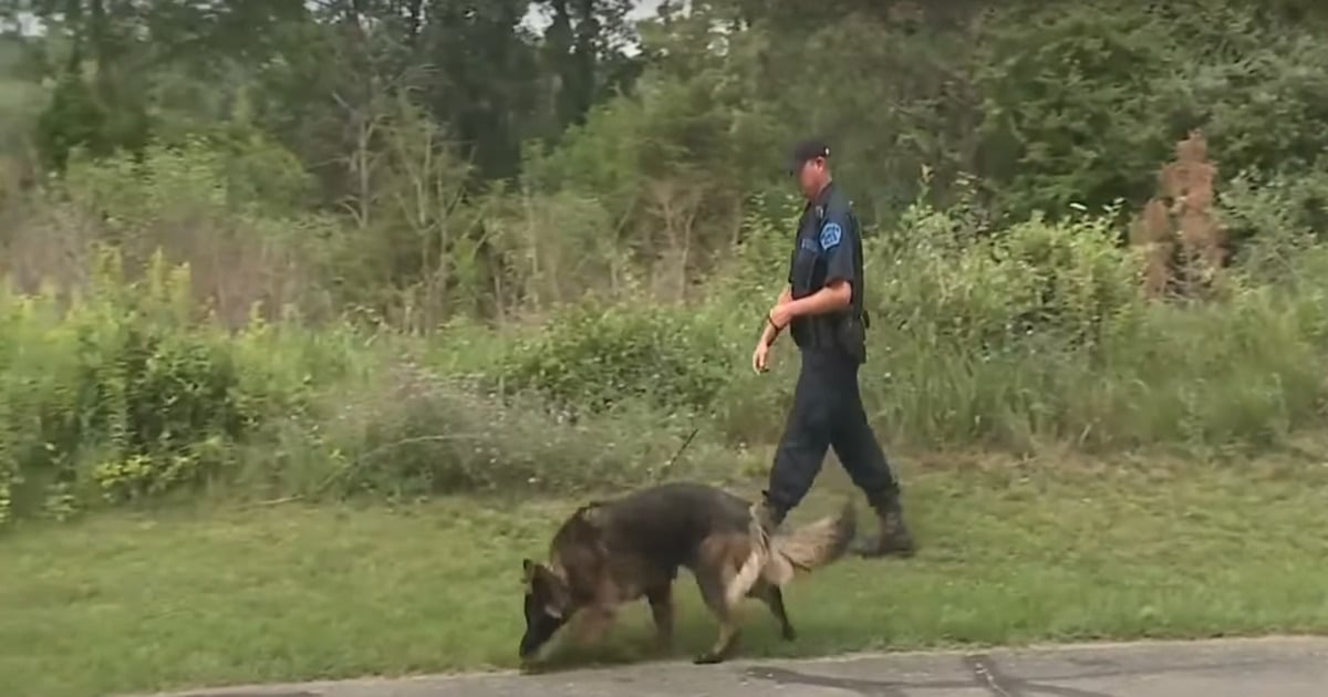 trooper, dog find woman missing for days after a car crash