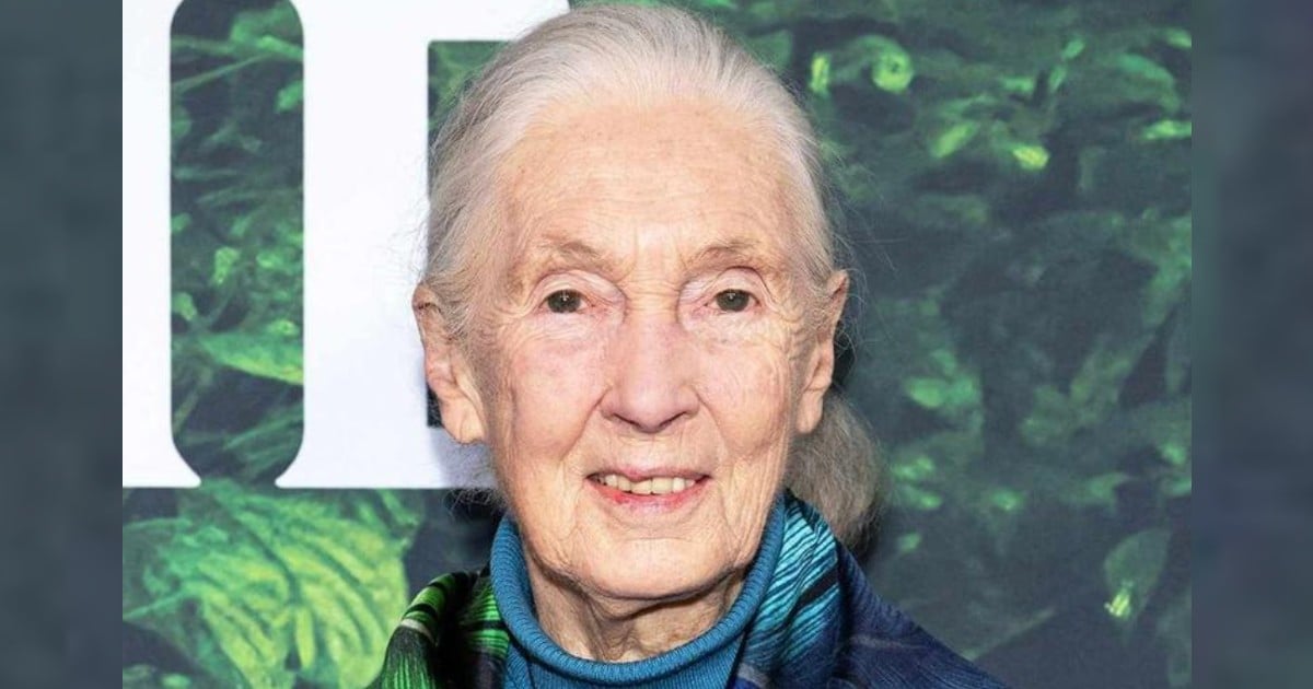90-Year-Old Dr. Jane Goodall